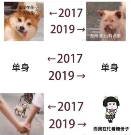 2017和2019对比图片分享图片3