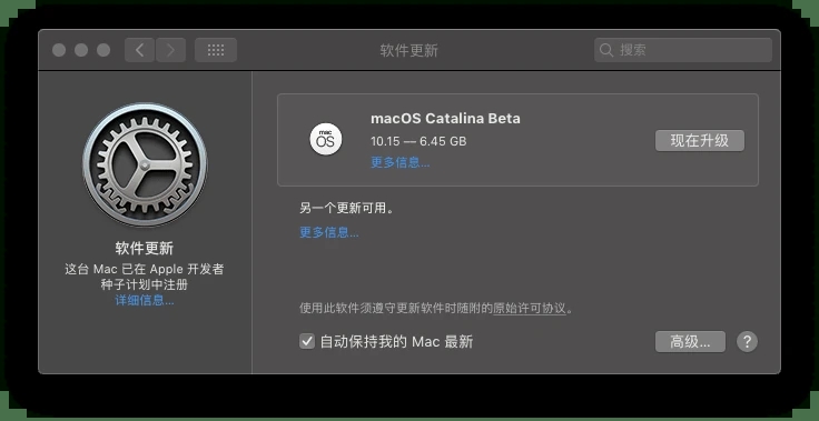 macOS Big Sur 11.5Beta4描述文件图片3