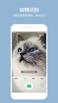 拍照识花宝app图3