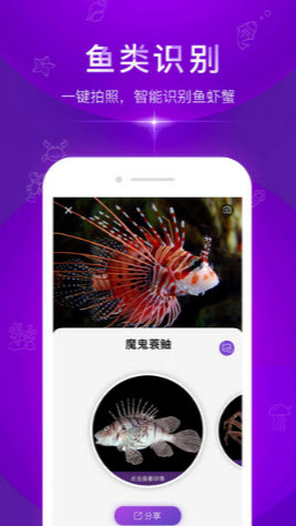 拍照识别鱼品种app图2