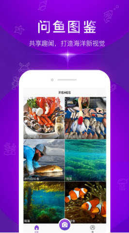 拍照识别鱼品种app图1