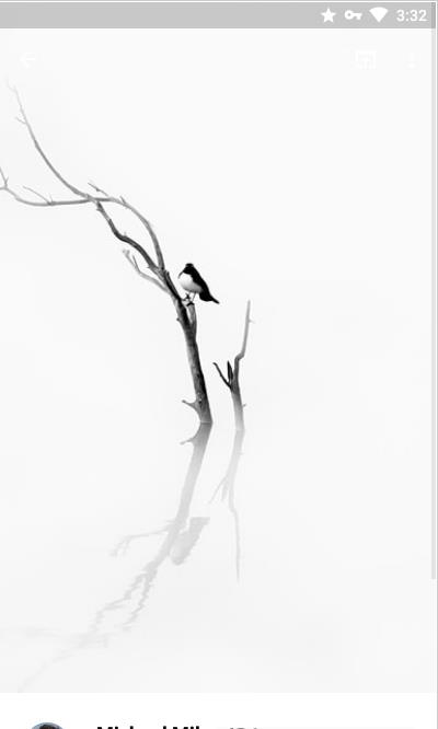 Walldrobe壁纸图2