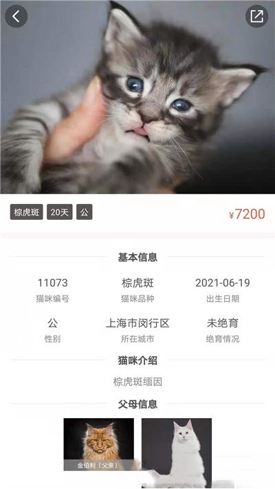 家连猫舍app安卓版图2