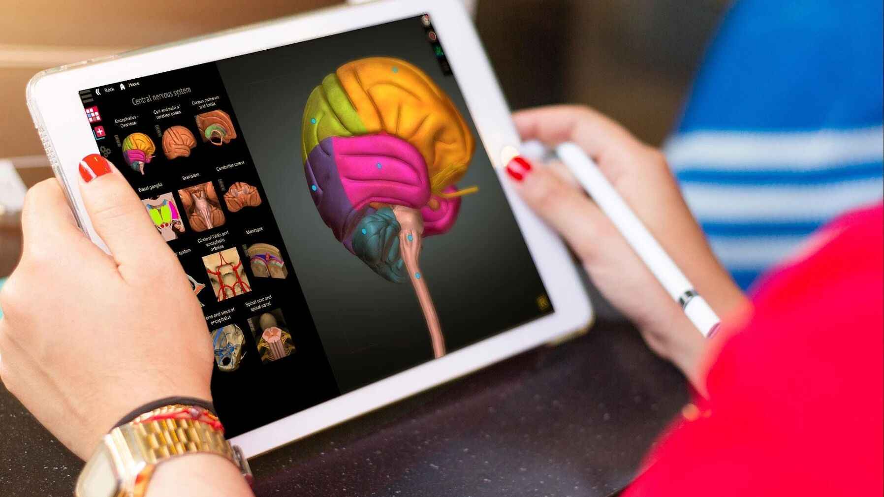 3d解剖学app安卓版图2