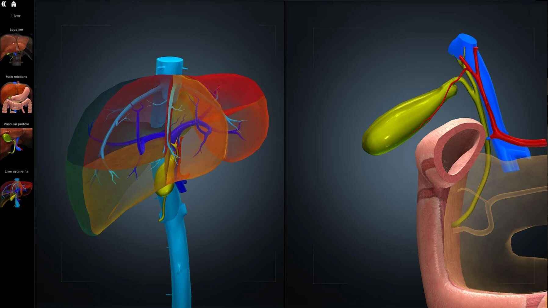 3d解剖学app安卓版图3