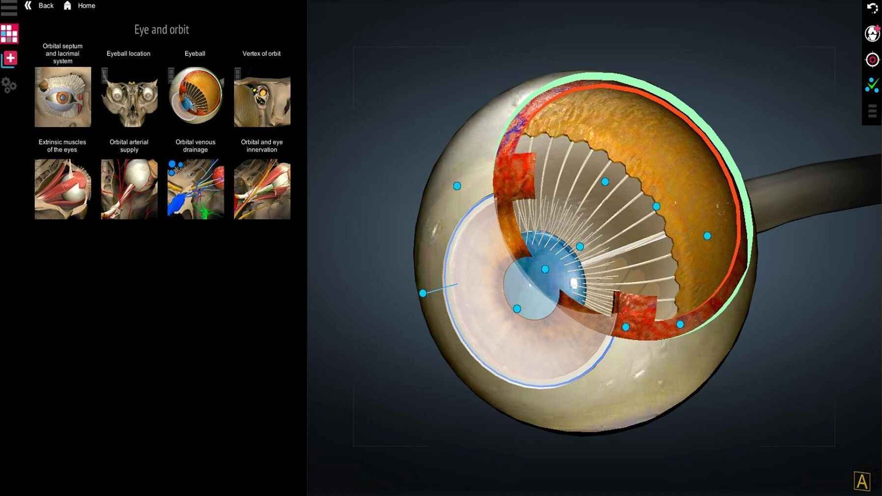 3d解剖学app图片1