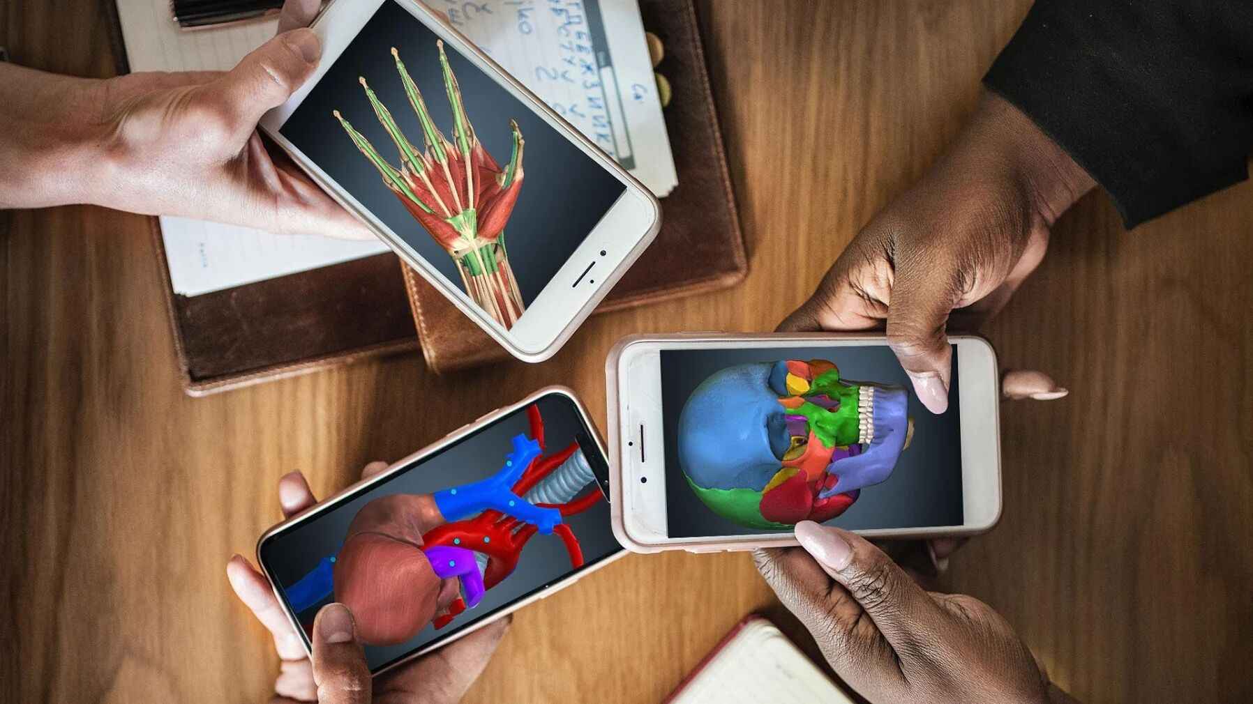 3d解剖学app图片2