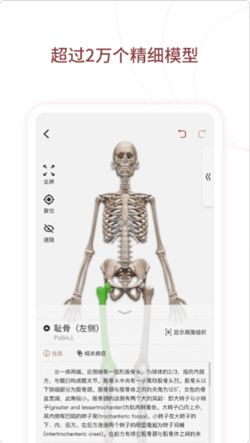 人体解剖3D app图2