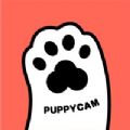 puppycam宠物APP官方版