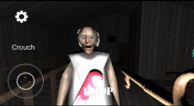 老奶奶农场中文版图1