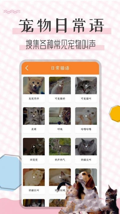 猫语翻译宝app图1