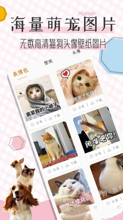 猫语翻译宝app图3