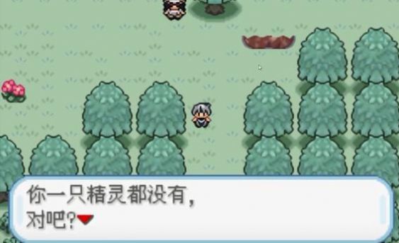 口袋妖怪火箭队攻略图3