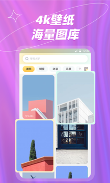 炫彩桌面壁纸大全app图3