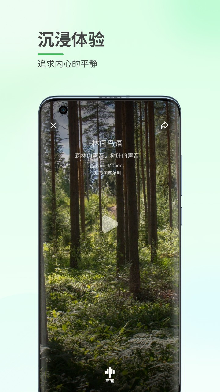 森林白噪音app手机版图1
