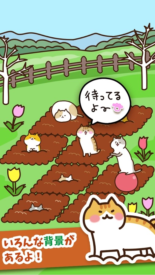 猫咪田园版图2