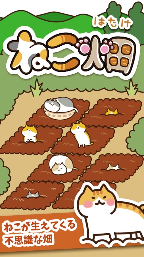 猫咪田园版图1