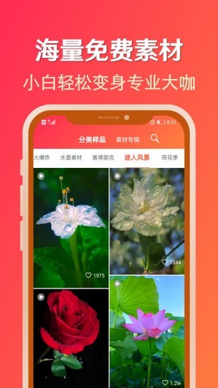 淘素材app手机版图2