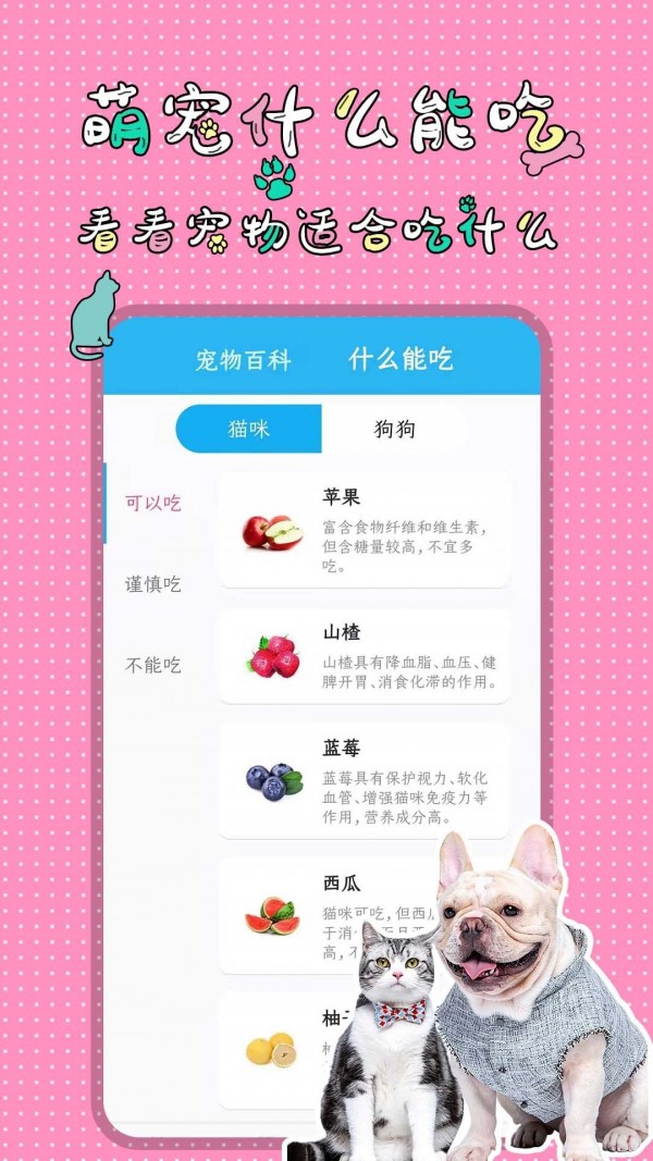 人猫人狗翻译交流器图2