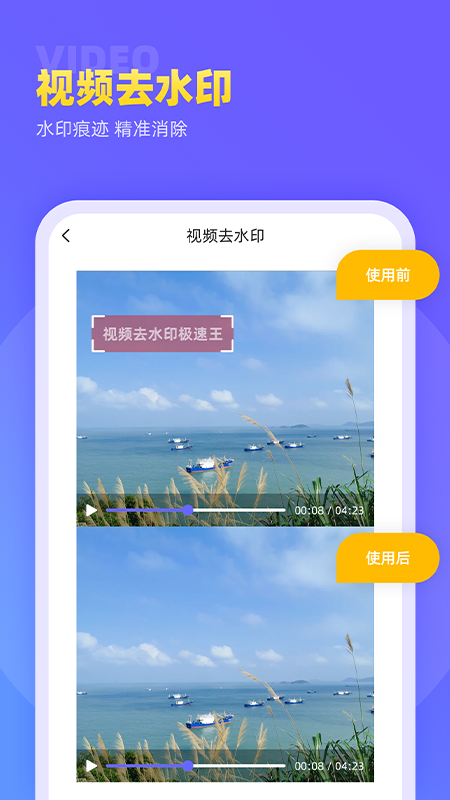 视频去水印极速王app图片2