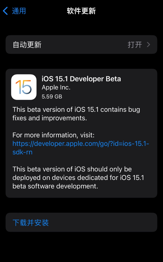 ios15.1描述文件图片1