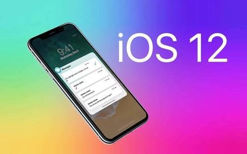 iOS 12.5.5描述文件正式版图2