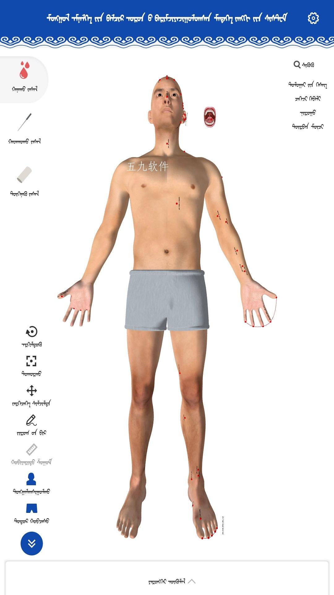 蒙医穴位标准化信息系统app官方版图3