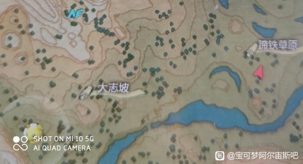 宝可梦传说阿尔宙斯稀有精灵位置分布攻略：阿尔宙斯稀有精灵在哪儿图片23