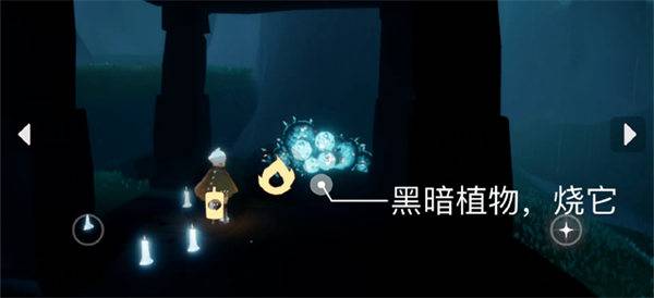 光遇9.5每日任务怎么做-光遇9.5每日任务攻略教程图片2