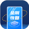 金刚恢复大师app官方版