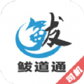 鲅道通司机端app官方版