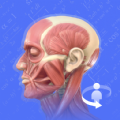 解剖学图谱app手机版