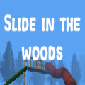 森林中的滑梯Slide in the woods恐怖游戏