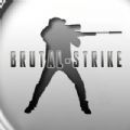 BrutalStrike联机版