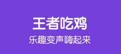 王者变声器软件免费版合集-王者变声器开麦就变的那种