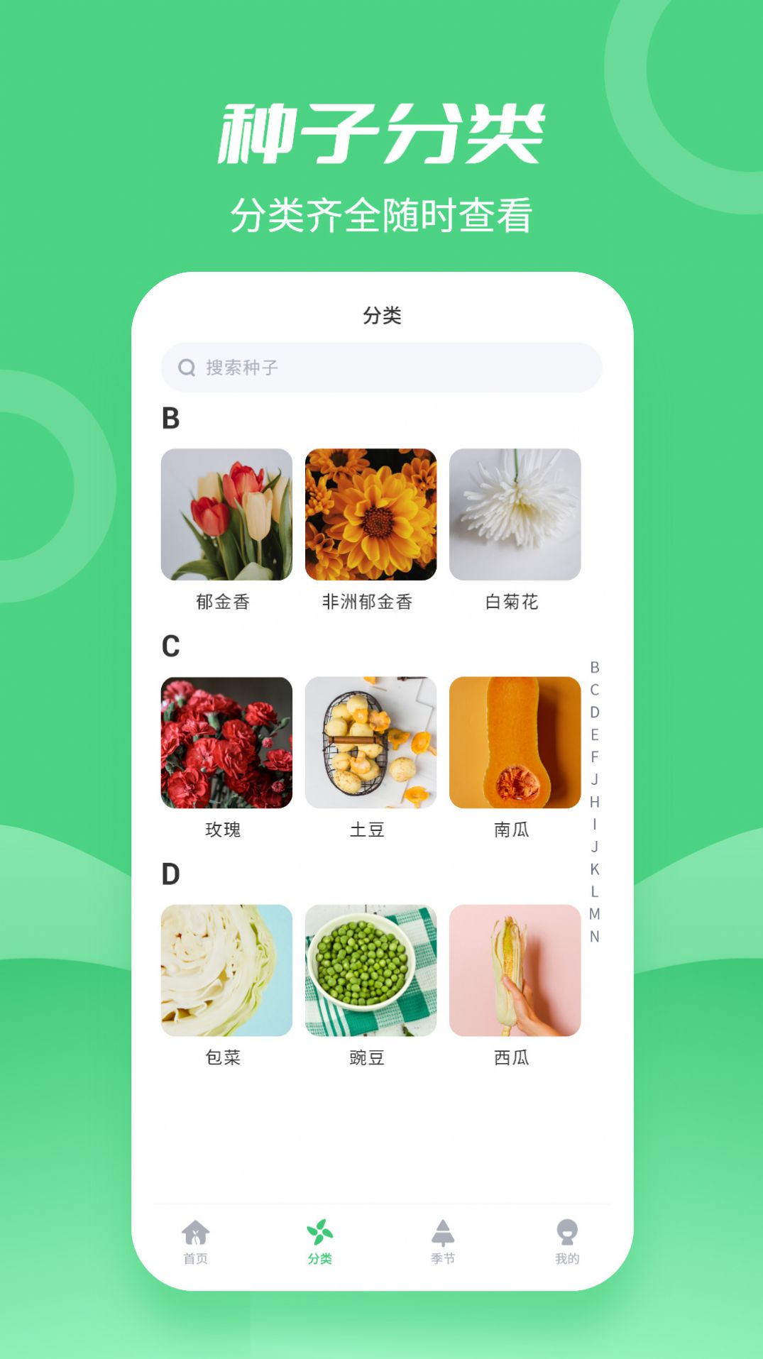 种子大全app图1