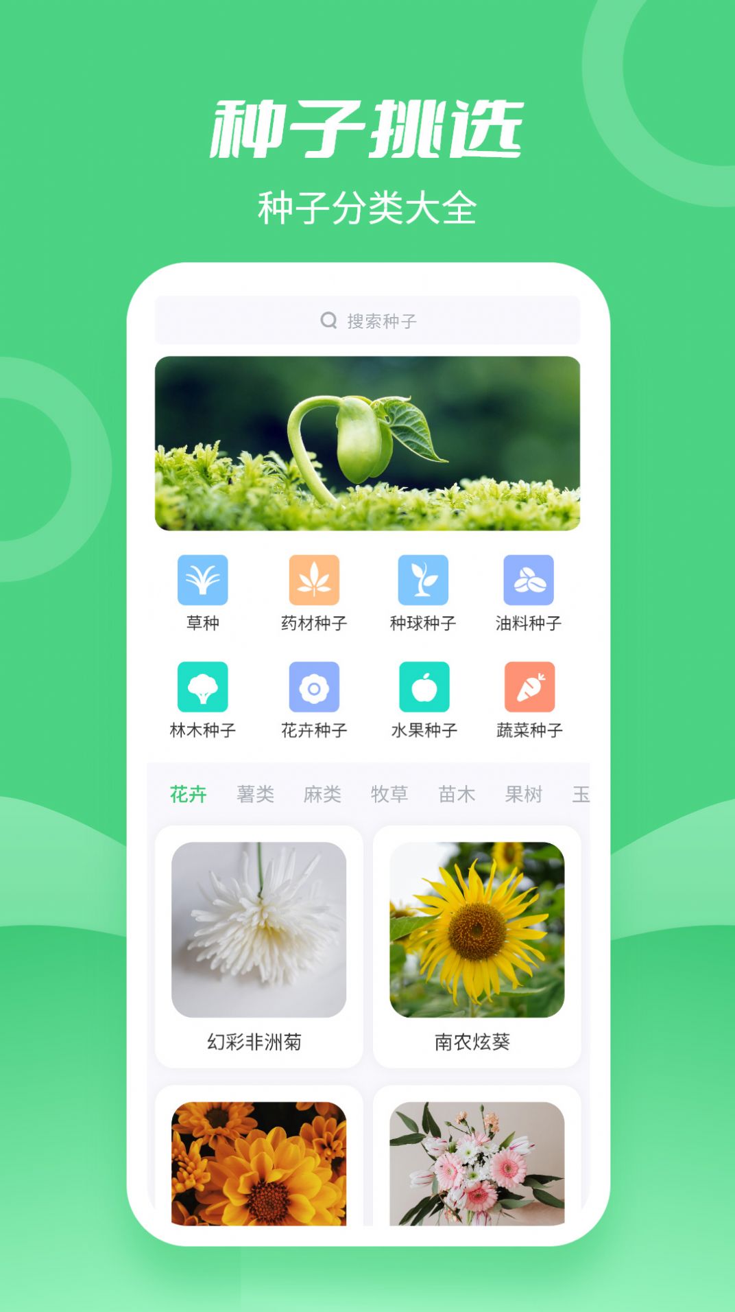 种子大全app图2