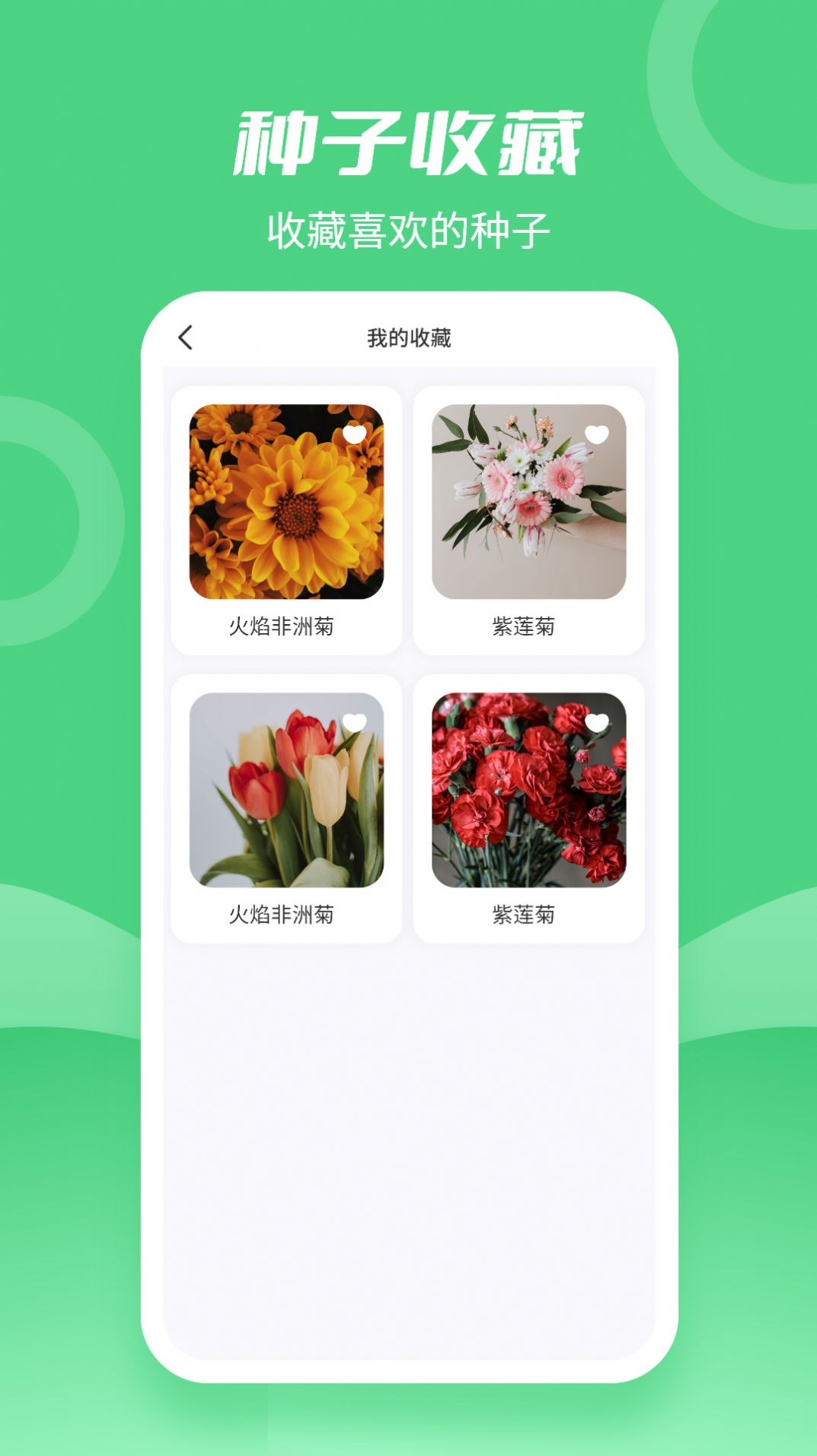 种子大全app图3