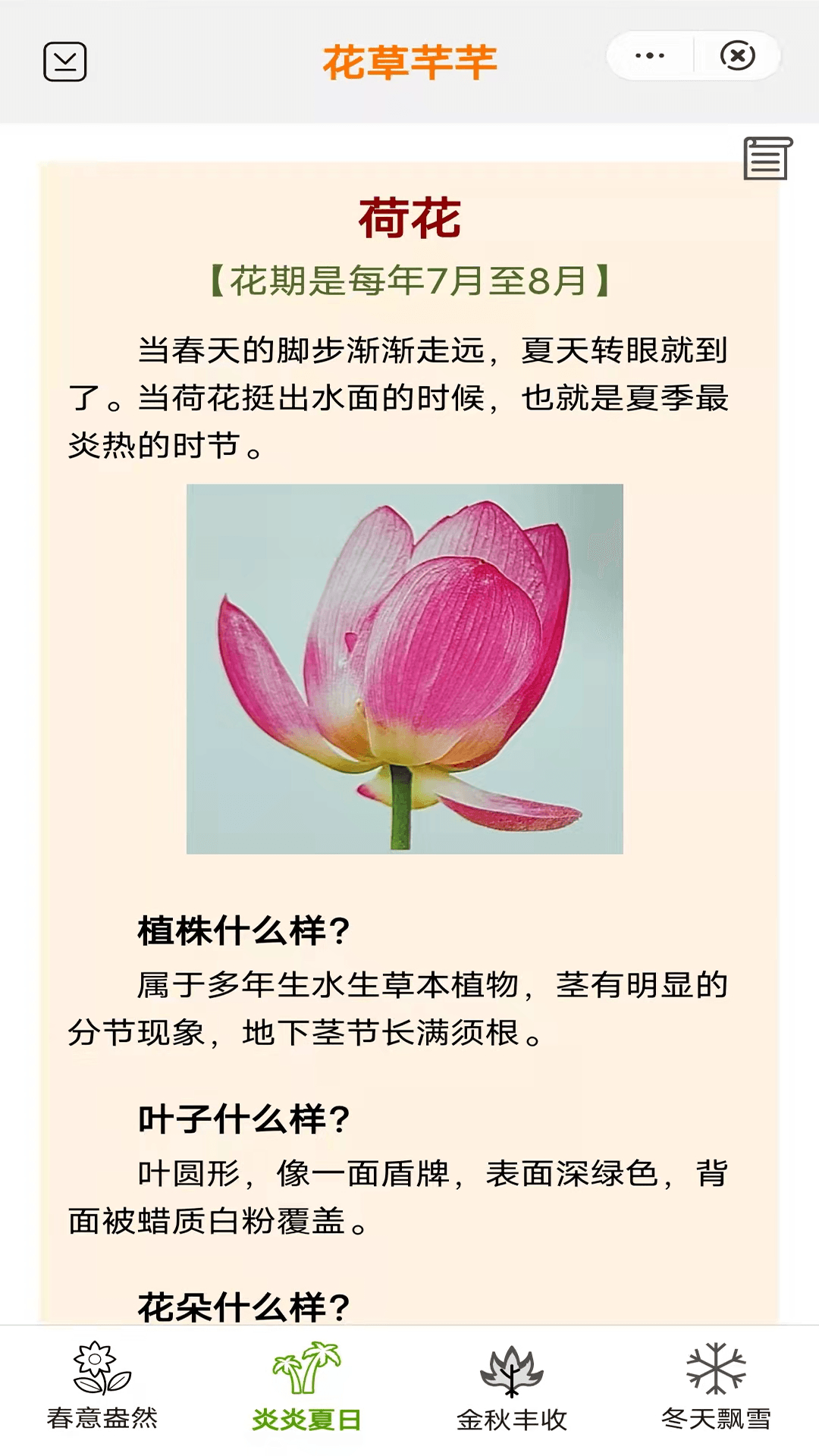 花草芊芊图1