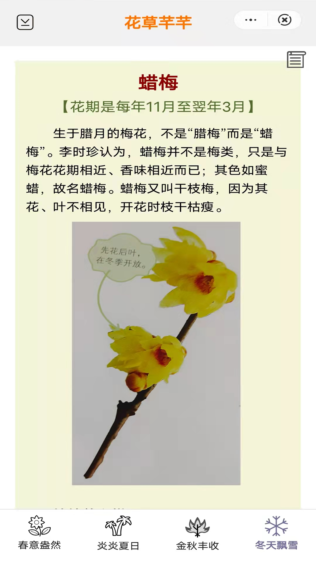 花草芊芊图2