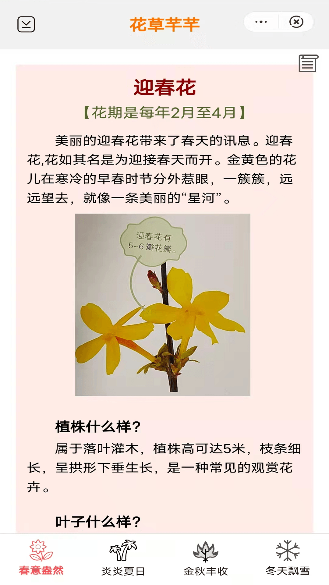 花草芊芊app图片1