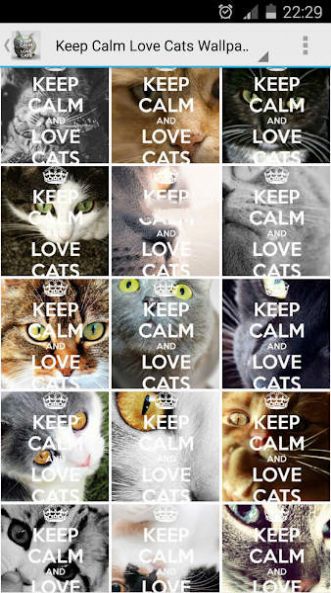 Keep Calm Love Cats Wallpapers app图1