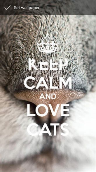 Keep Calm Love Cats Wallpapers app图3