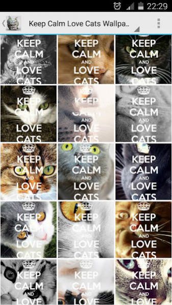 Keep Calm Love Cats Wallpapers app图2