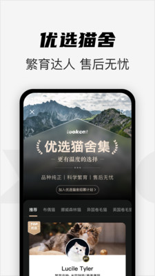 看猫app图2