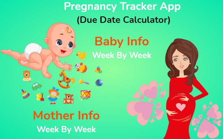 怀孕日期计算器app图2