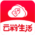 云粉生活app