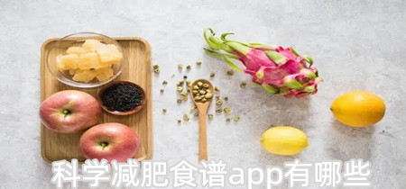 科学减肥食谱app有哪些