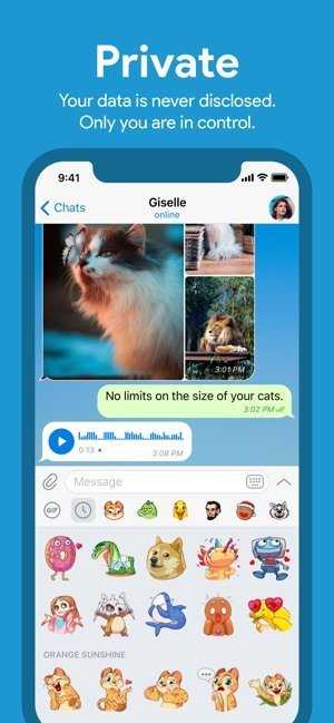 telegreat官网电脑版下载图3