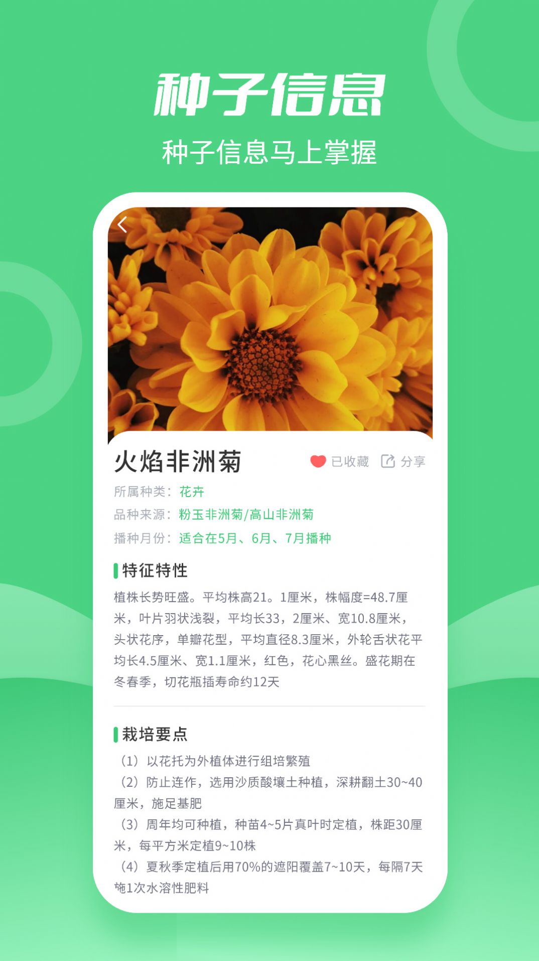 动听种子搜索app图片1